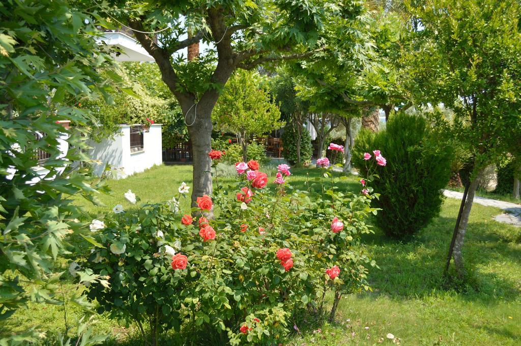 Pension Nikos Ψακούδια Εξωτερικό φωτογραφία