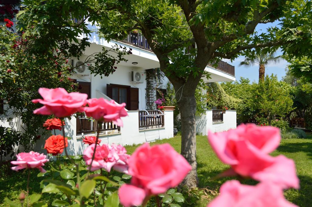 Pension Nikos Ψακούδια Εξωτερικό φωτογραφία